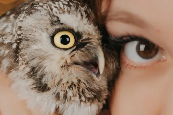 Casino Lucky 31 Supporto